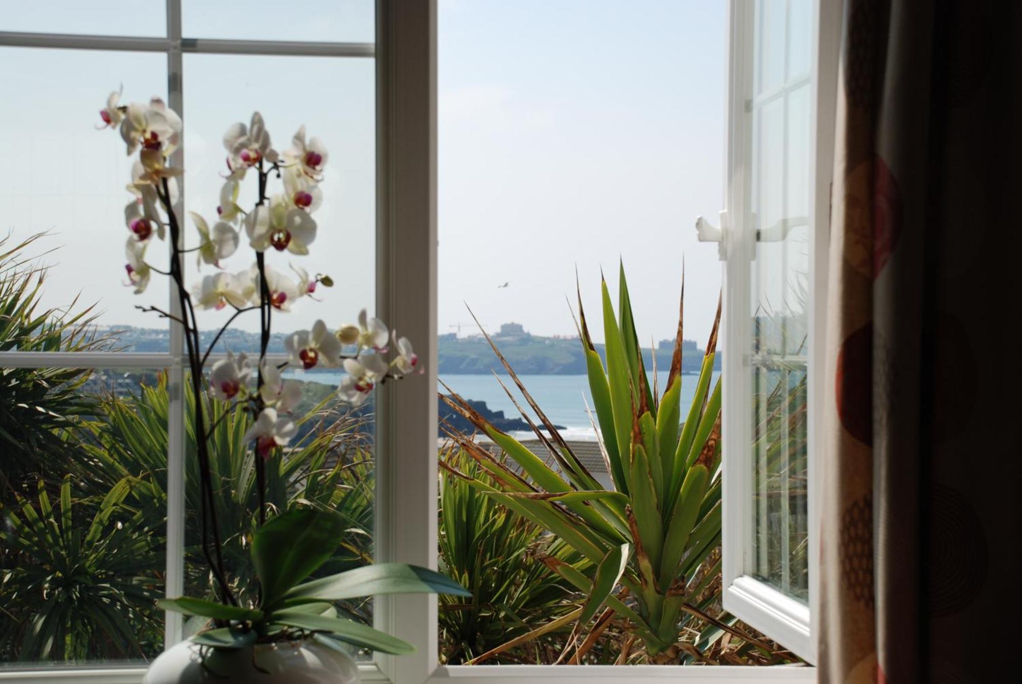The Whipsiderry Hotel New Quay Εξωτερικό φωτογραφία
