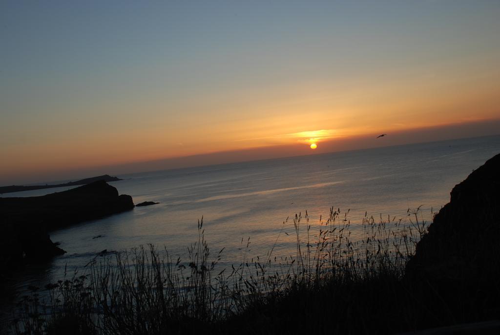 The Whipsiderry Hotel New Quay Εξωτερικό φωτογραφία
